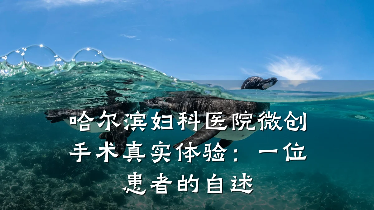 哈尔滨妇科医院微创手术真实体验：一位患者的自述