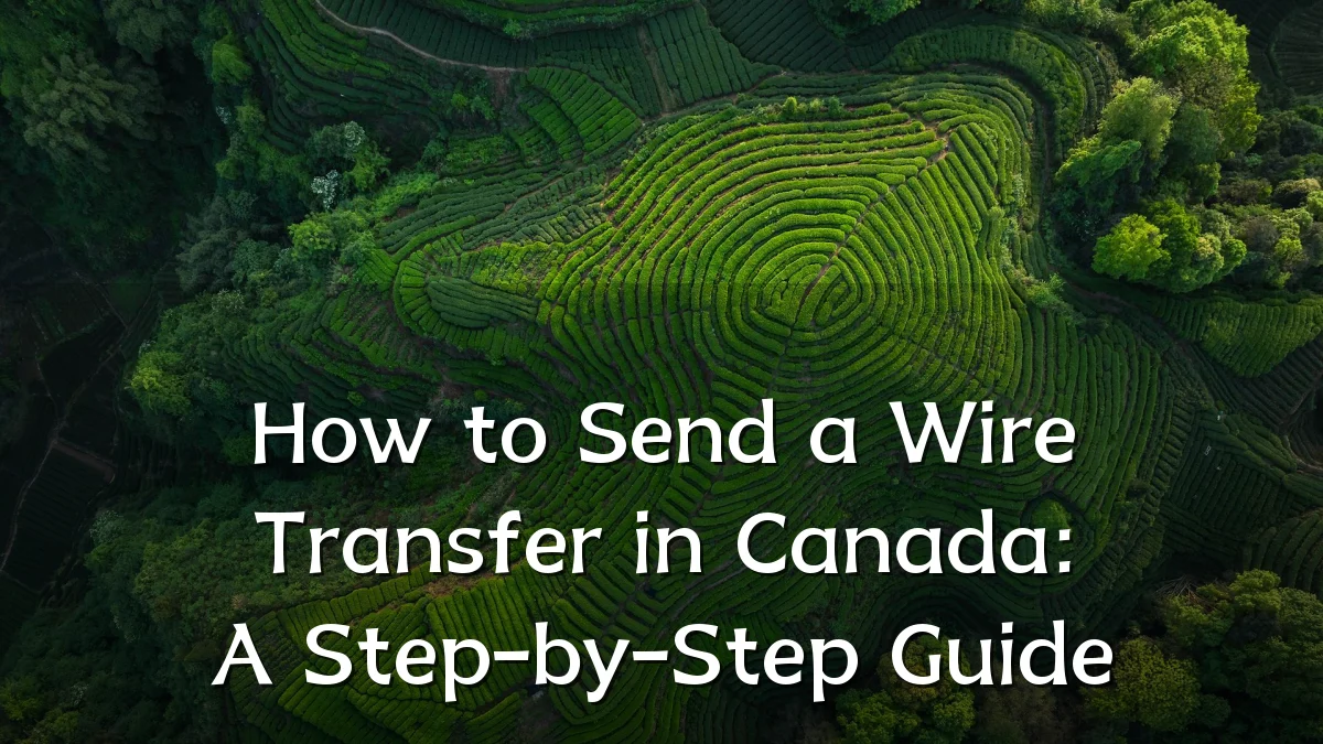 How to Send a Wire Transfer in Canada: A Step-by-Step Guide