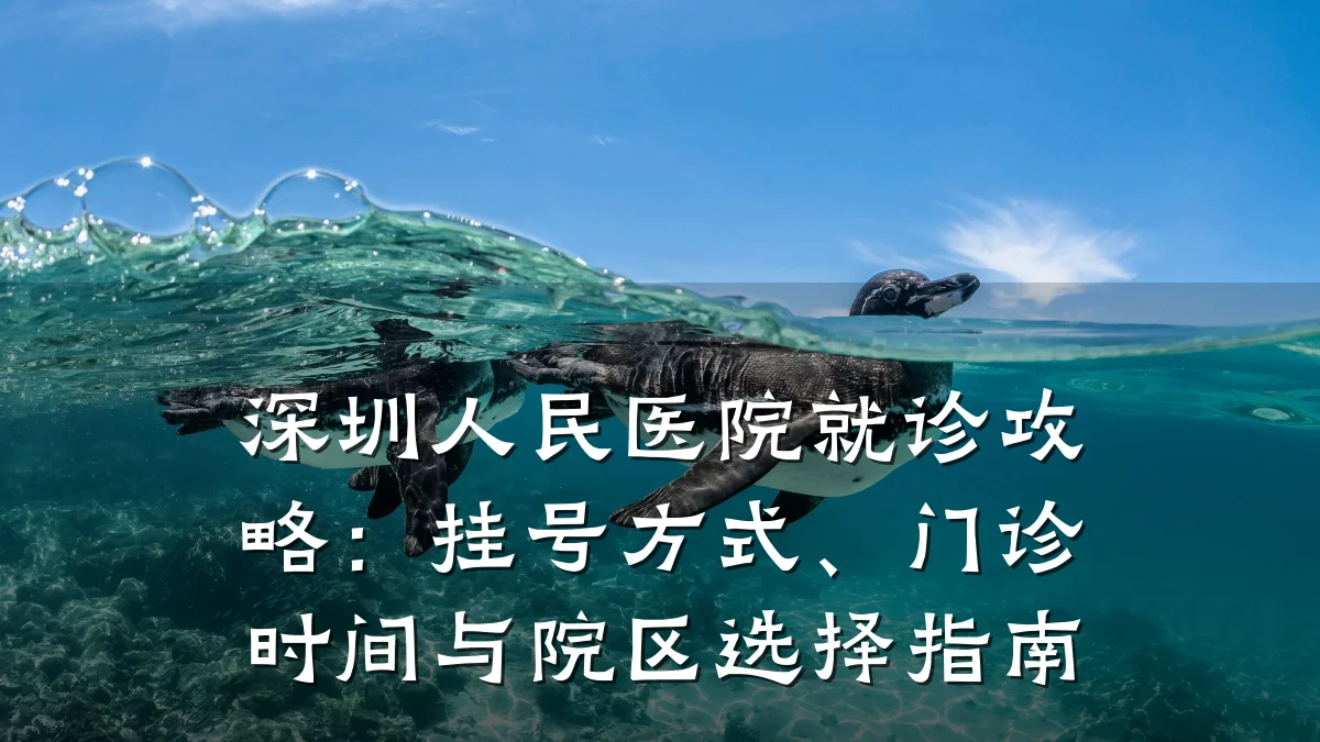 深圳人民医院就诊攻略：挂号方式、门诊时间与院区选择指南