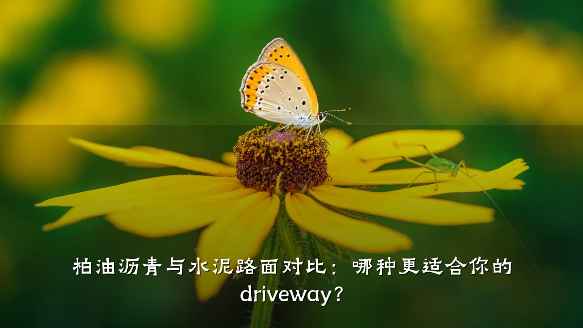 柏油沥青与水泥路面对比：哪种更适合你的 driveway？