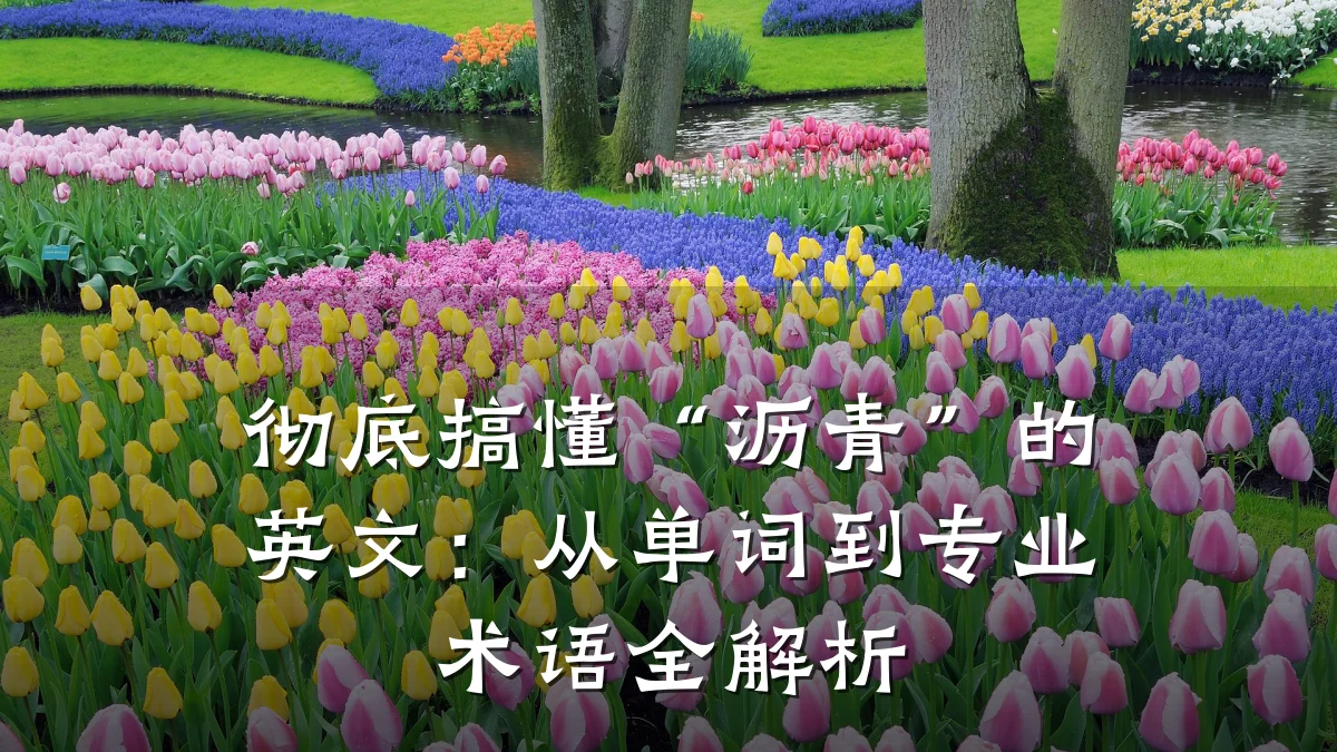 彻底搞懂“沥青”的英文:从单词到专业术语全解析