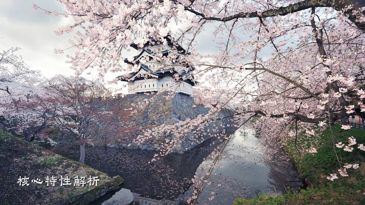 核心特性解析