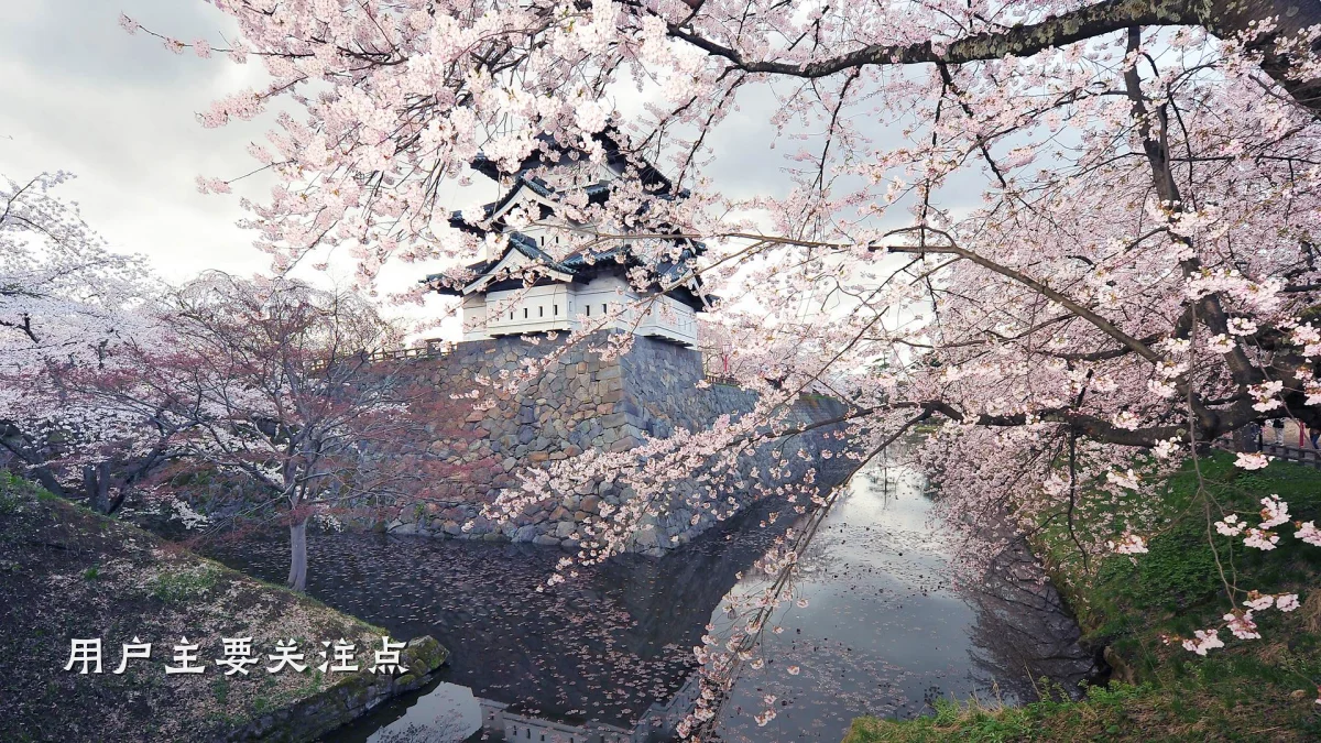 用户主要关注点