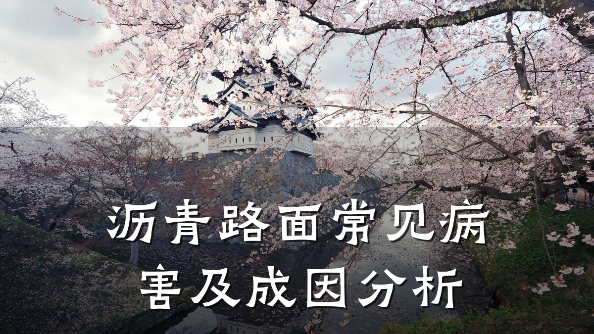 沥青路面常见病害及成因分析