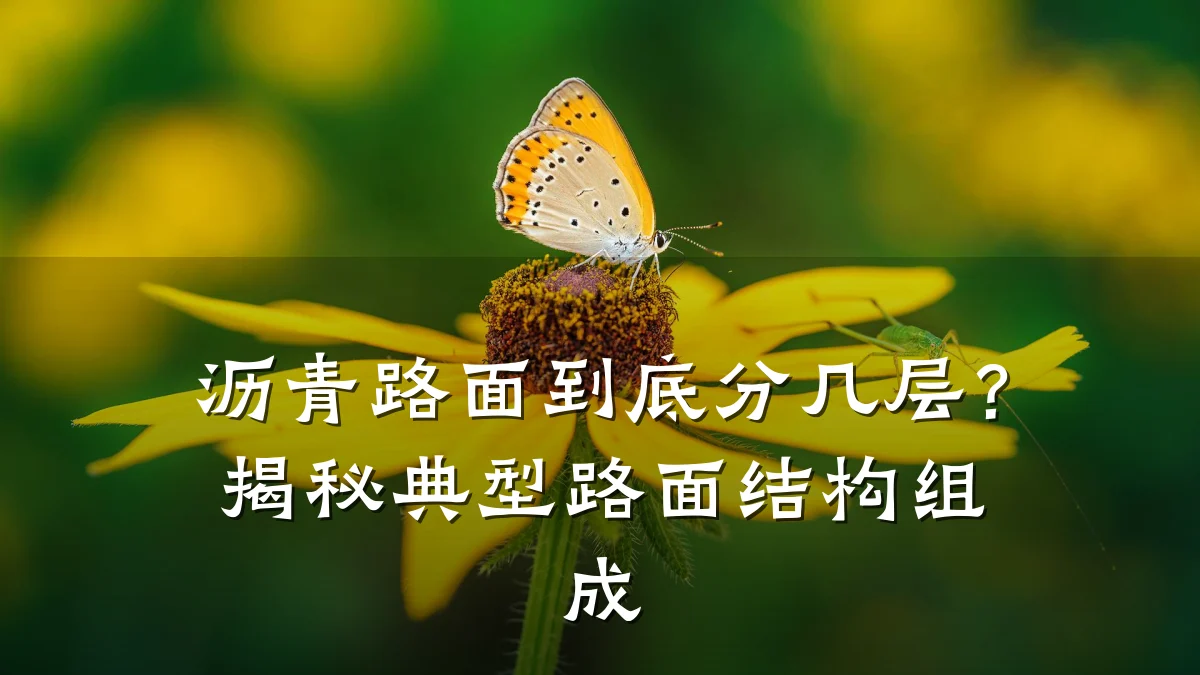 沥青路面到底分几层？揭秘典型路面结构组成