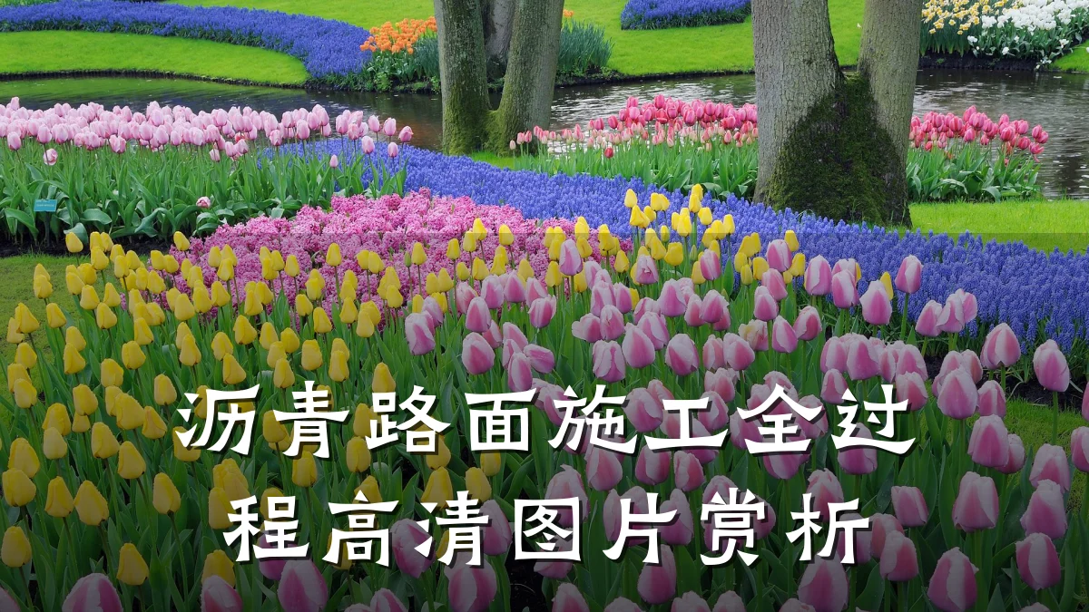 沥青路面施工全过程高清图片赏析