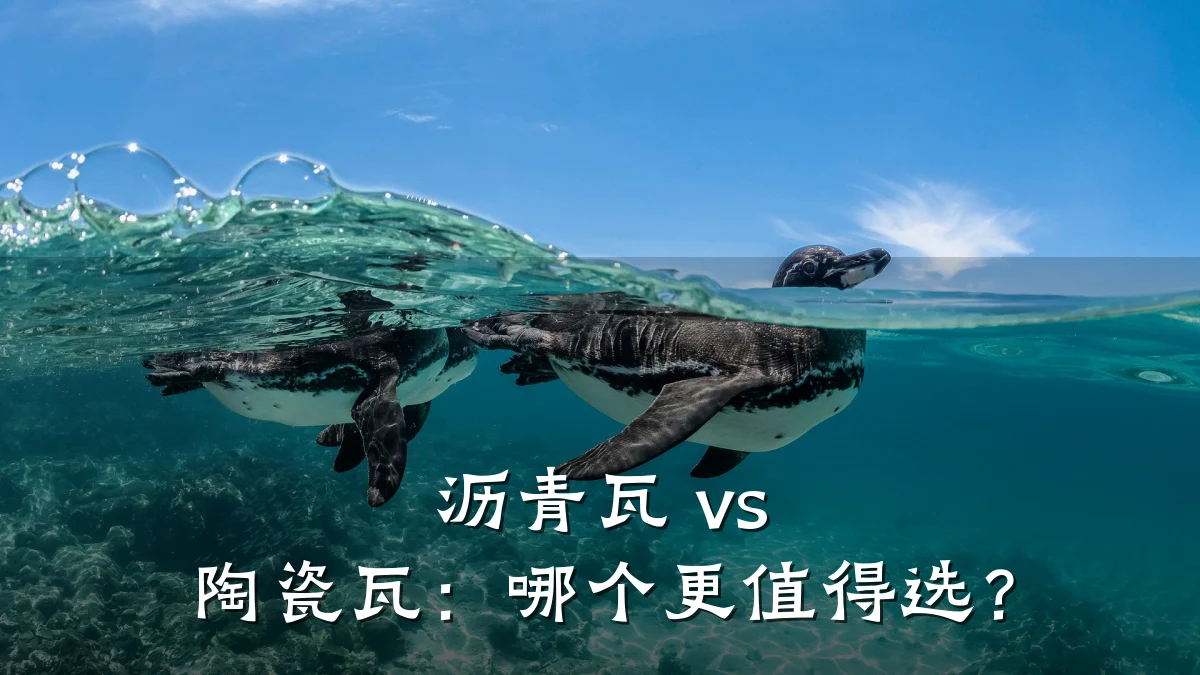 沥青瓦 vs 陶瓷瓦:哪个更值得选?