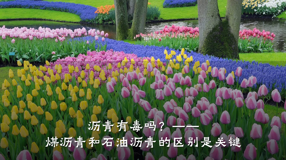 沥青有毒吗?—— 煤沥青和石油沥青的区别是关键