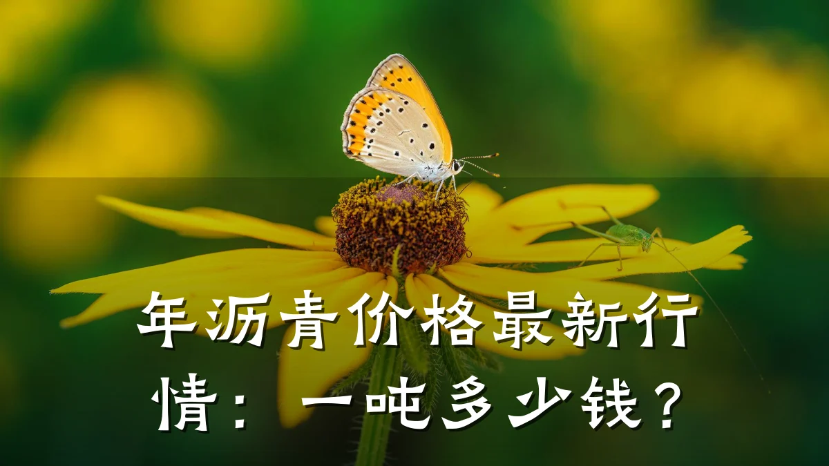 年沥青价格最新行情:一吨多少钱?