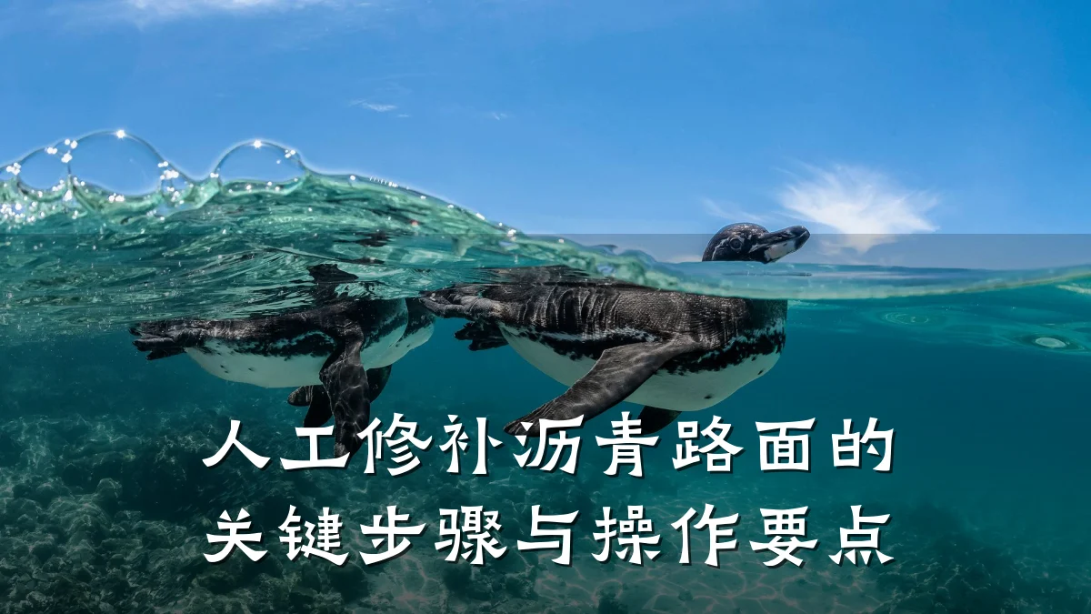 人工修补沥青路面的关键步骤与操作要点