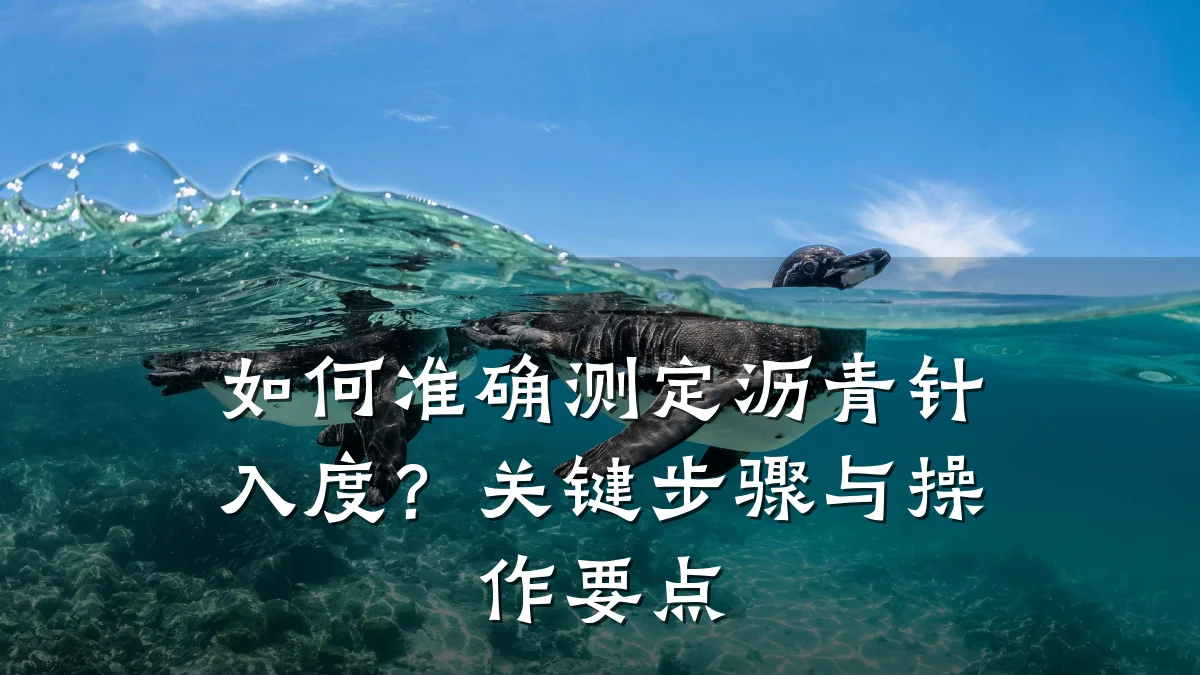 如何准确测定沥青针入度？关键步骤与操作要点