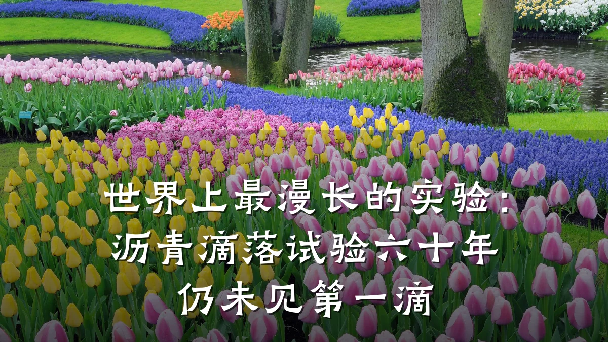 世界上最漫长的实验：沥青滴落试验六十年仍未见第一滴