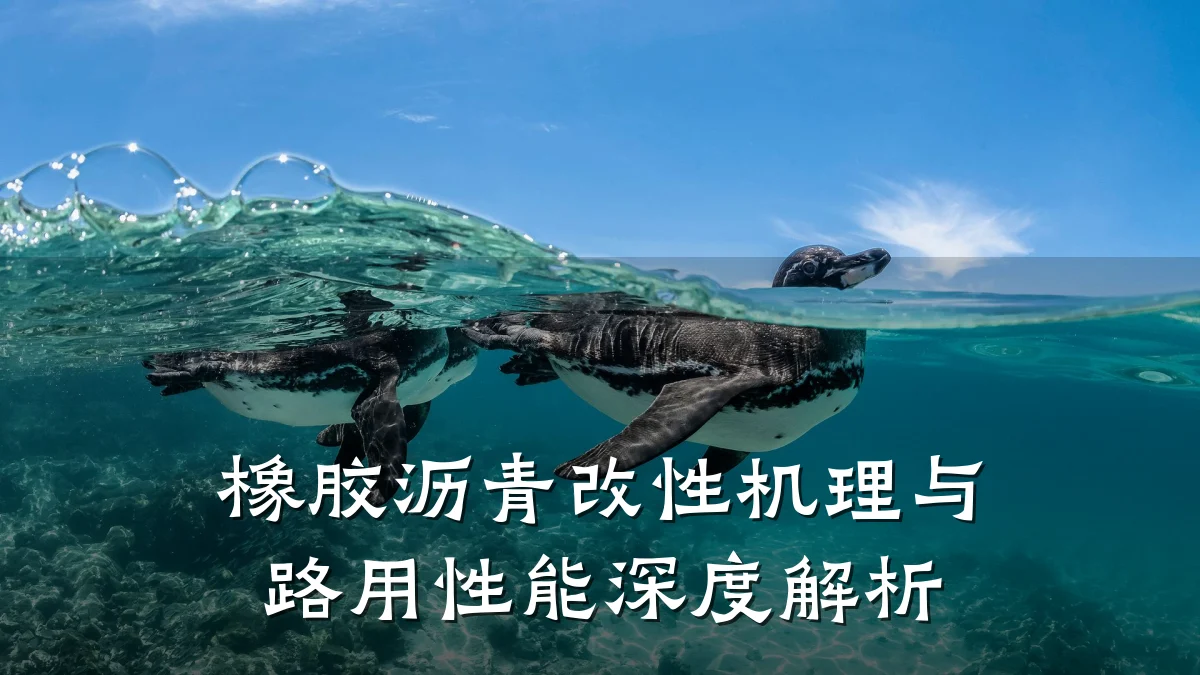 橡胶沥青改性机理与路用性能深度解析