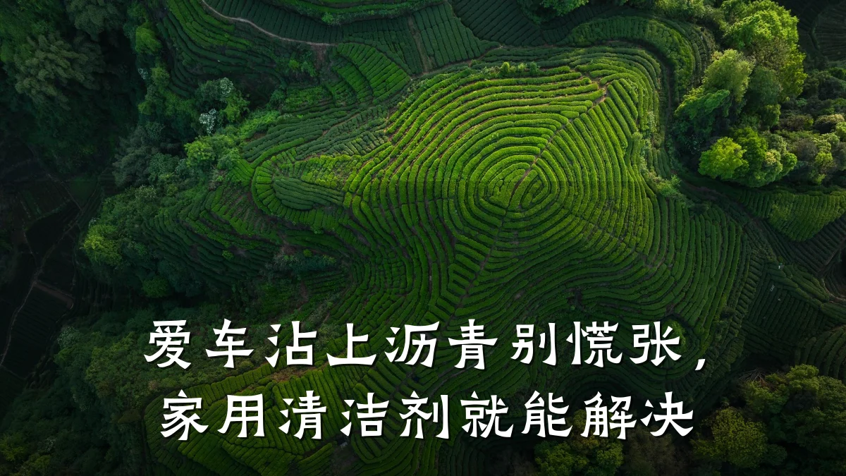 爱车沾上沥青别慌张，家用清洁剂就能解决