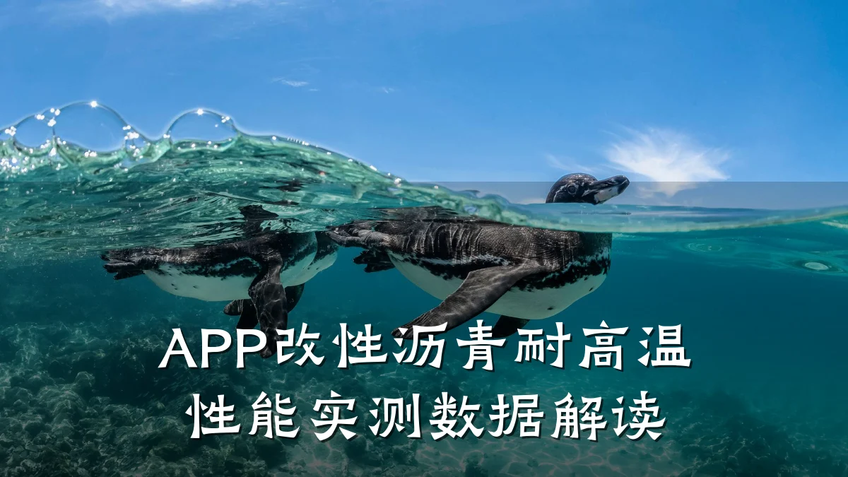 APP改性沥青耐高温性能实测数据解读