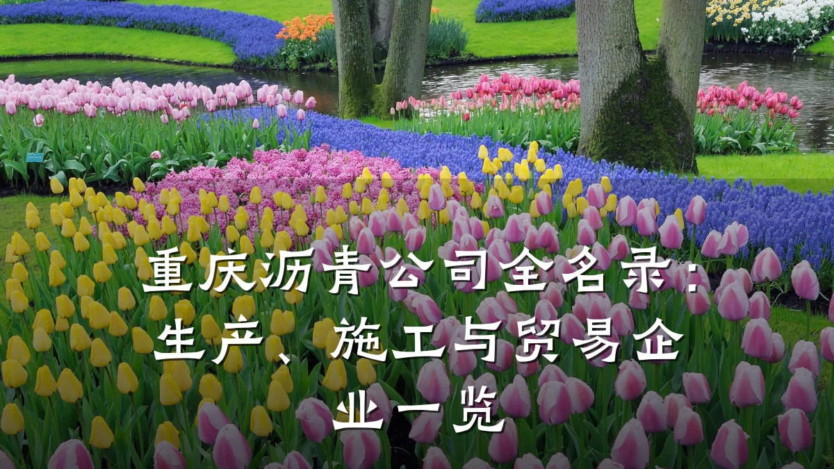 重庆沥青公司全名录：生产、施工与贸易企业一览