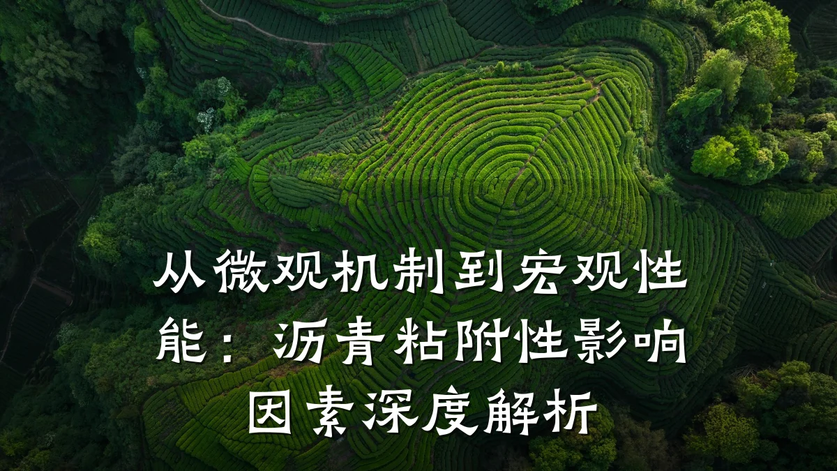 从微观机制到宏观性能:沥青粘附性影响因素深度解析