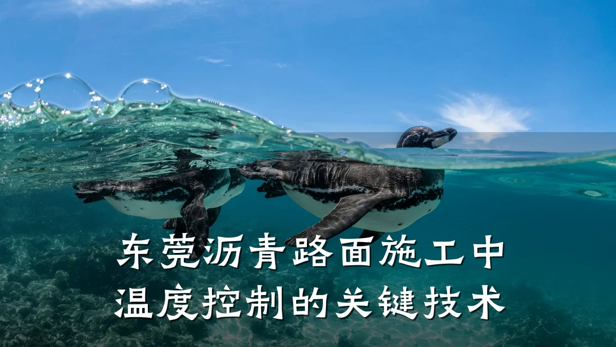 东莞沥青路面施工中温度控制的关键技术