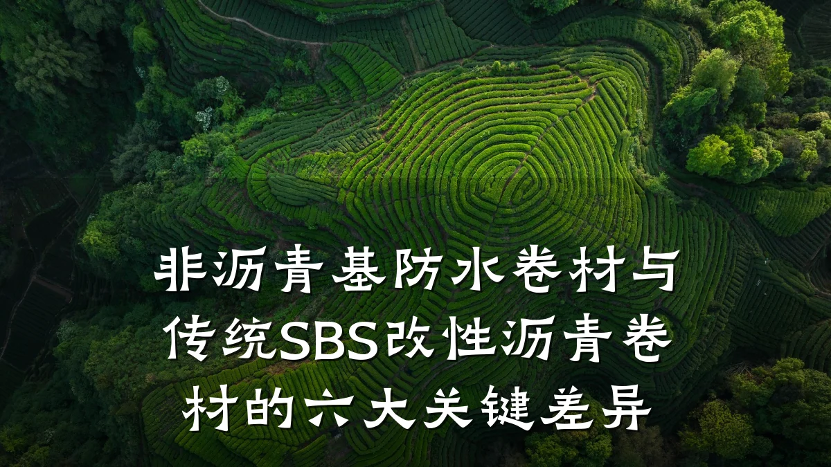 非沥青基防水卷材与传统SBS改性沥青卷材的六大关键差异