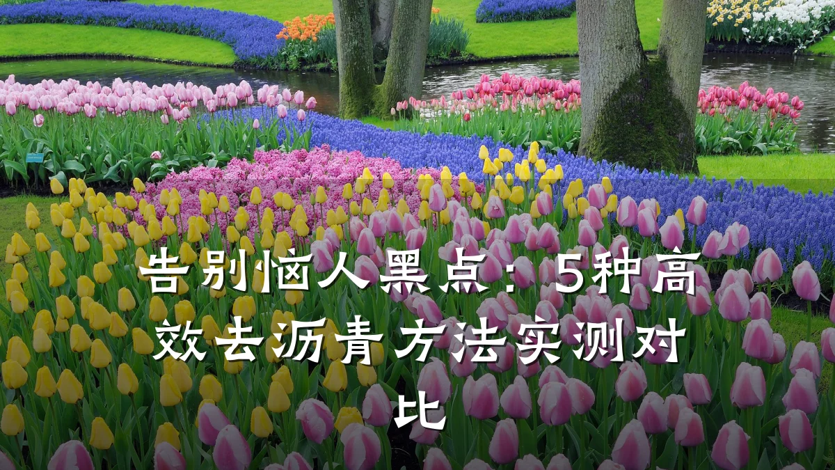 告别恼人黑点:5种高效去沥青方法实测对比