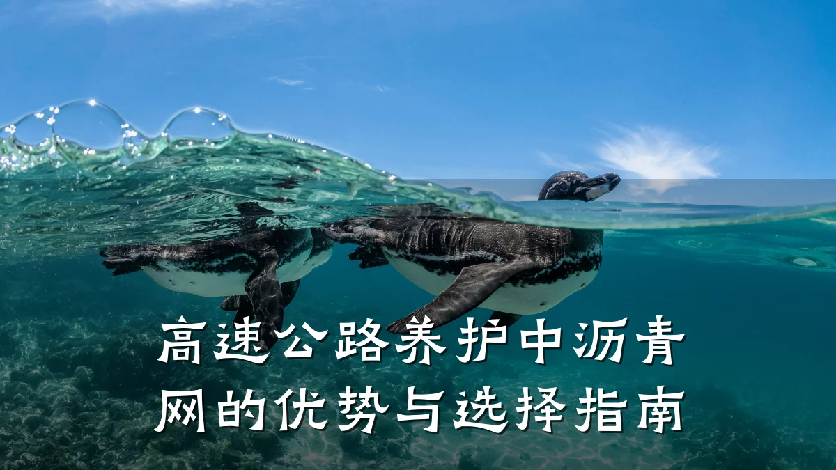 高速公路养护中沥青网的优势与选择指南