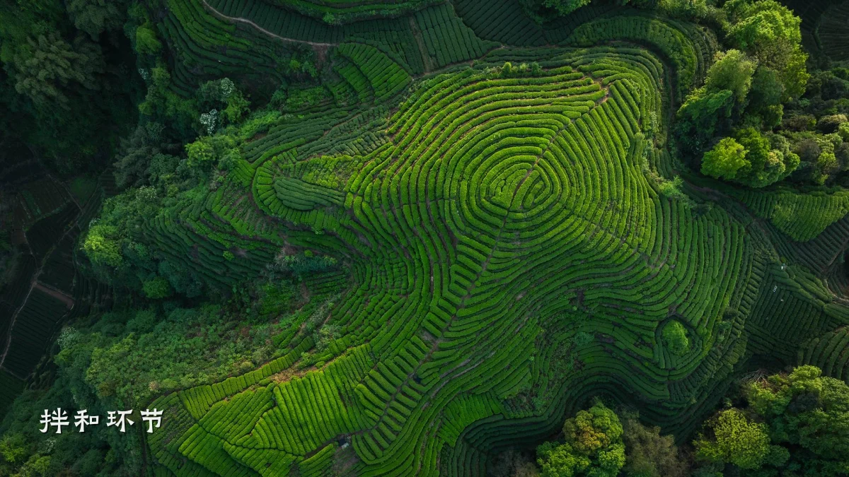 拌和环节