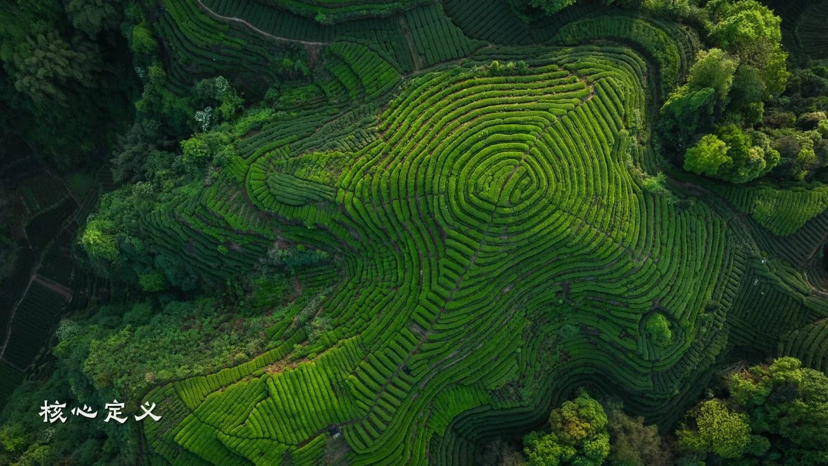 核心定义