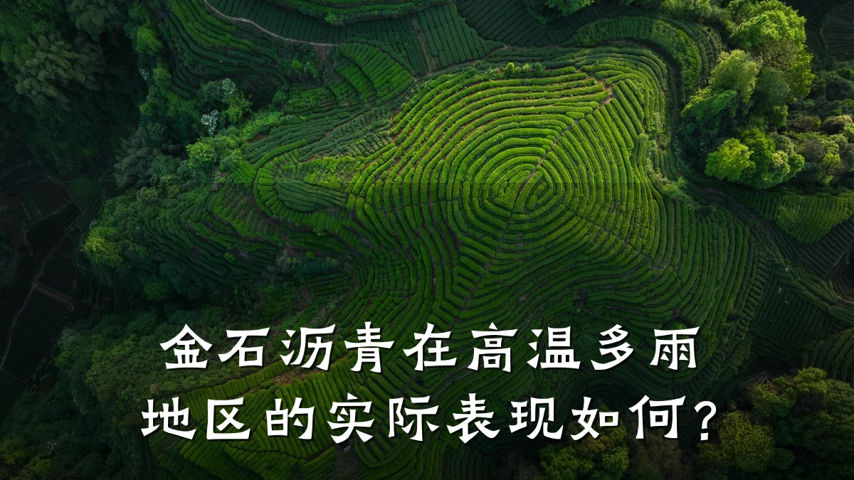 金石沥青在高温多雨地区的实际表现如何?