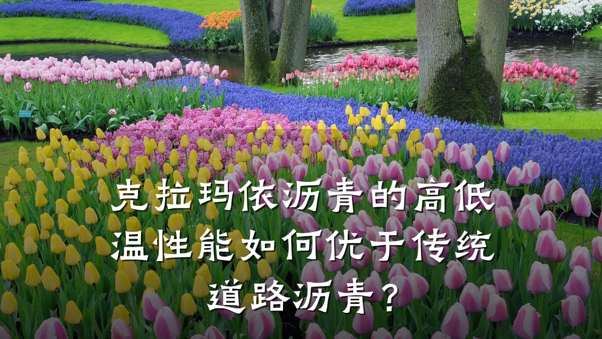 克拉玛依沥青的高低温性能如何优于传统道路沥青？