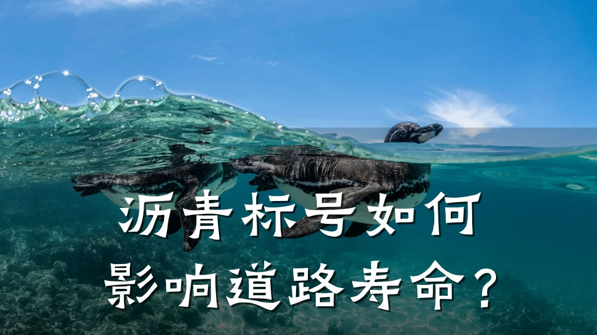 沥青标号如何影响道路寿命?