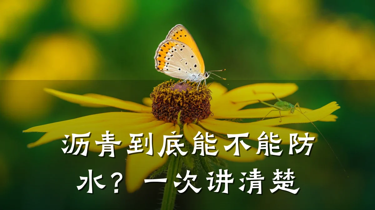 沥青到底能不能防水？一次讲清楚
