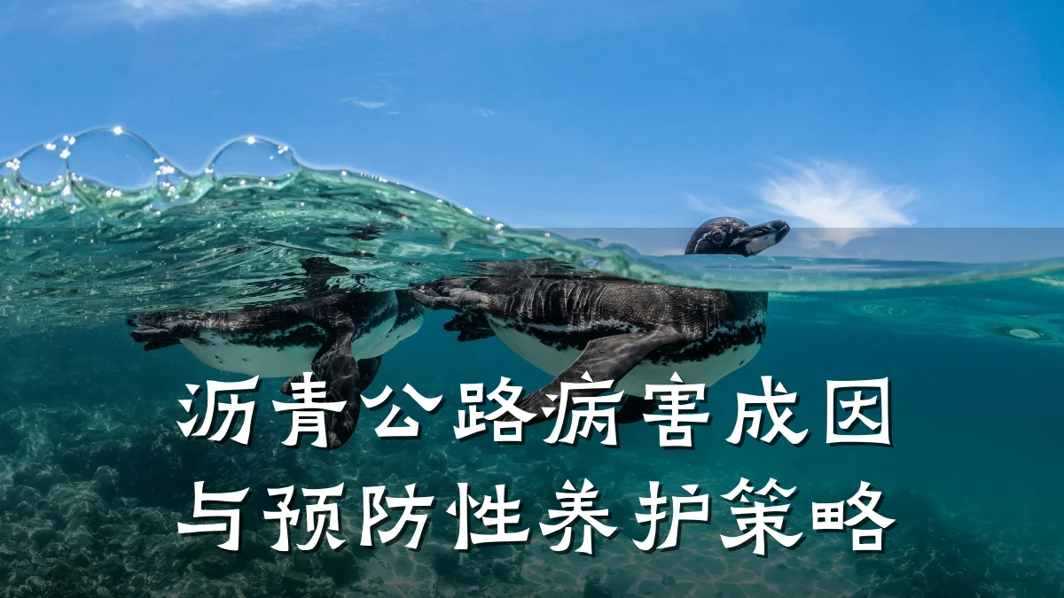 沥青公路病害成因与预防性养护策略