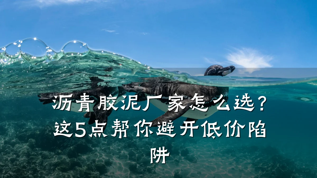 沥青胶泥厂家怎么选？这5点帮你避开低价陷阱