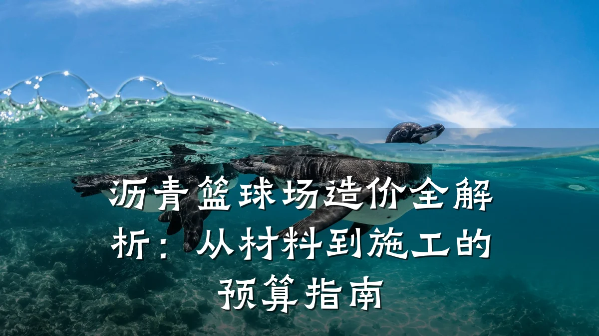 沥青篮球场造价全解析:从材料到施工的预算指南