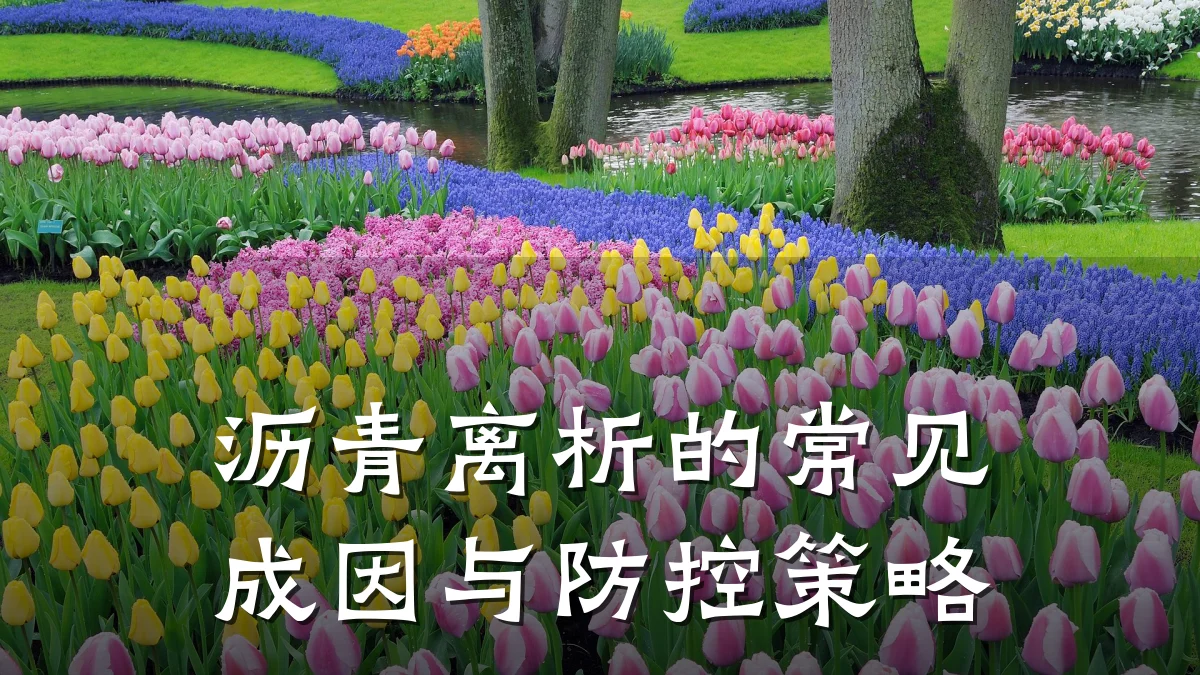 沥青离析的常见成因与防控策略