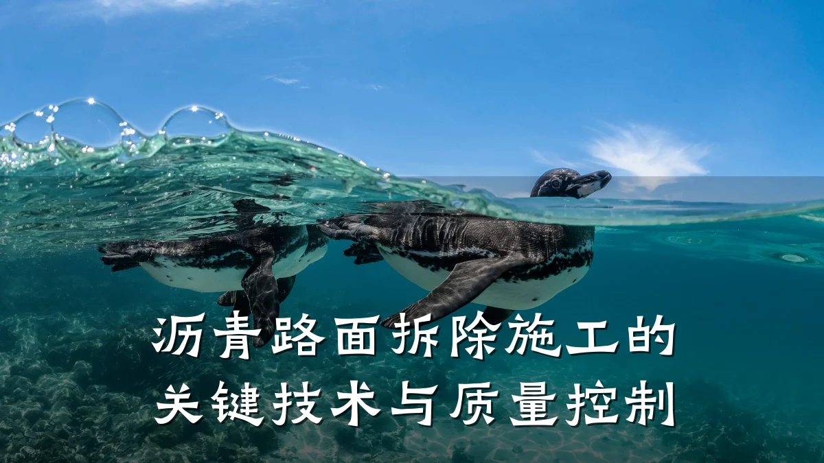 沥青路面拆除施工的关键技术与质量控制
