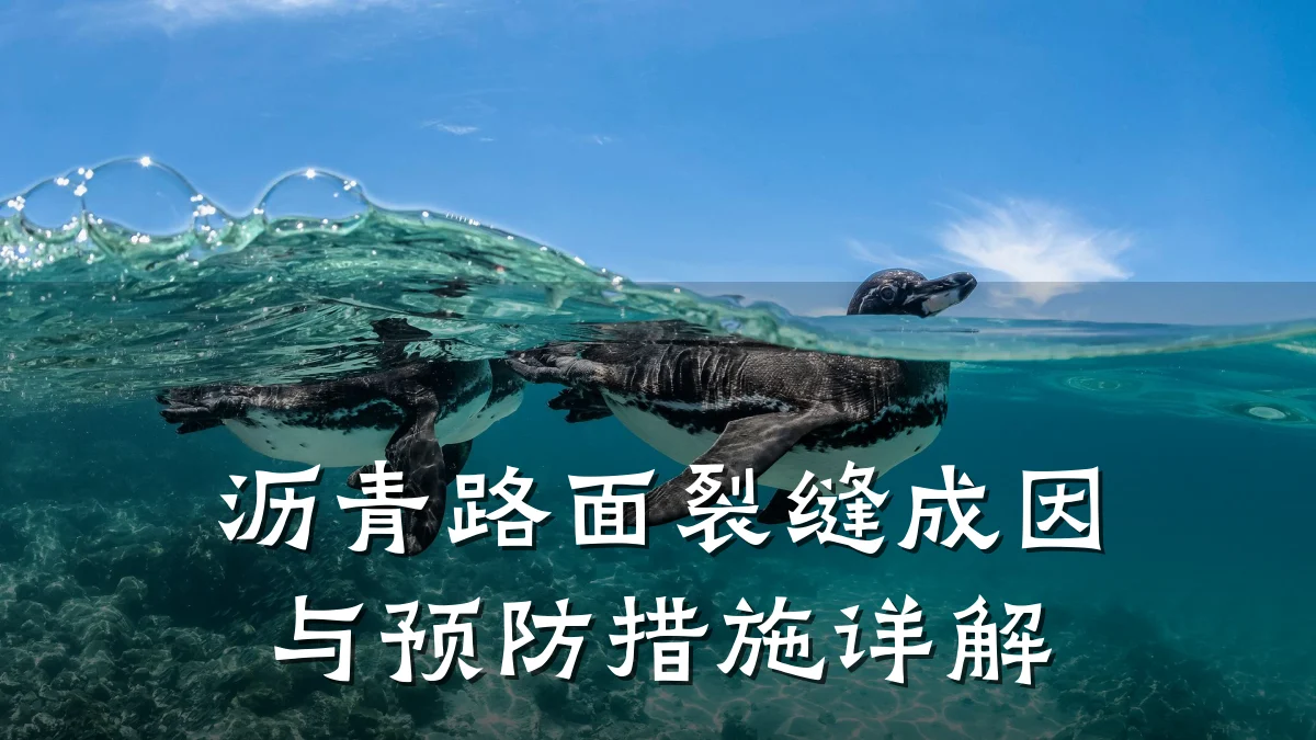 沥青路面裂缝成因与预防措施详解