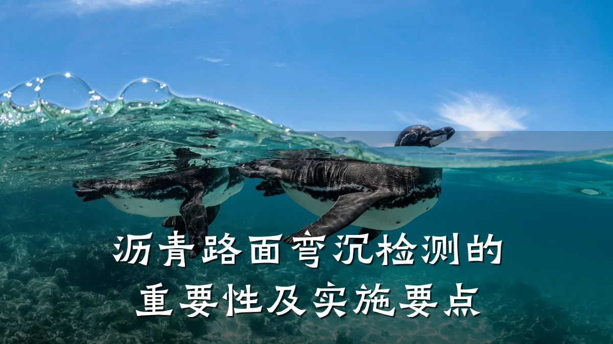 沥青路面弯沉检测的重要性及实施要点