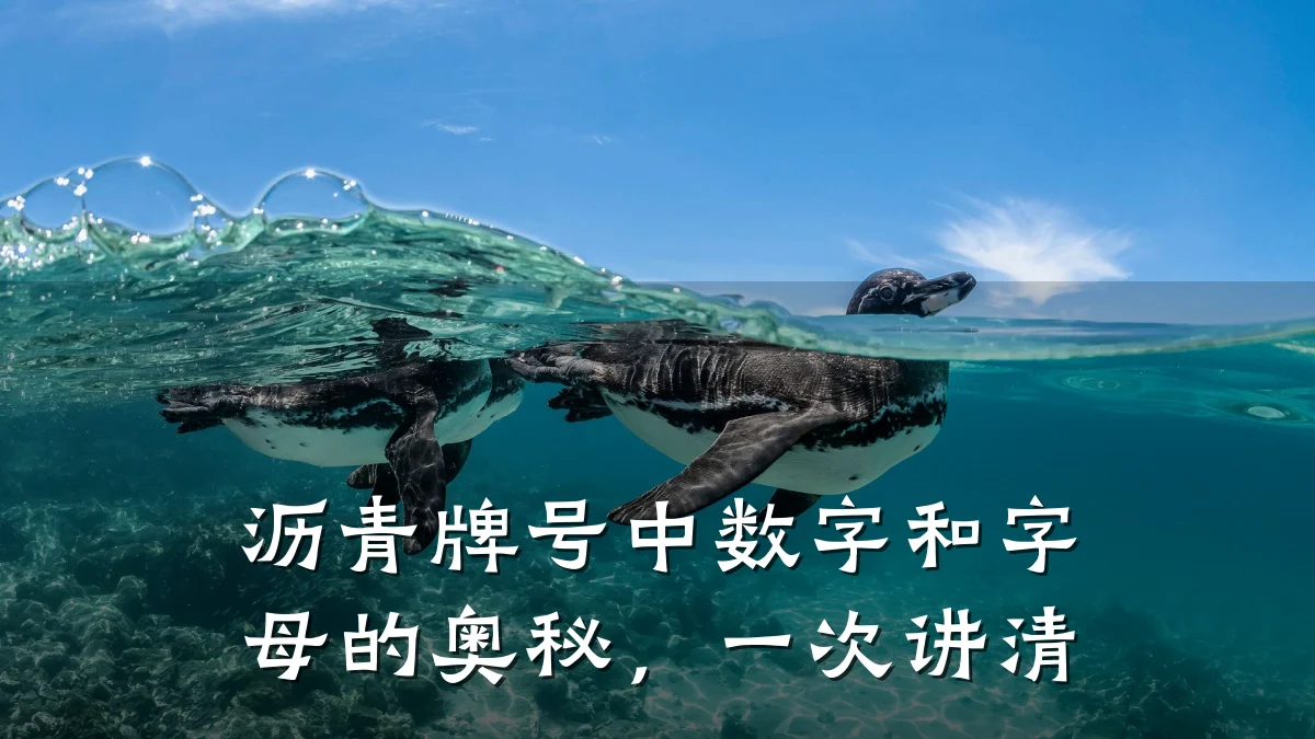 沥青牌号中数字和字母的奥秘，一次讲清