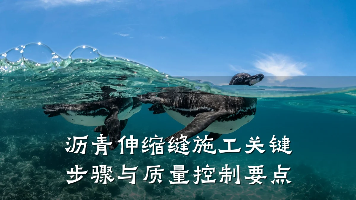 沥青伸缩缝施工关键步骤与质量控制要点