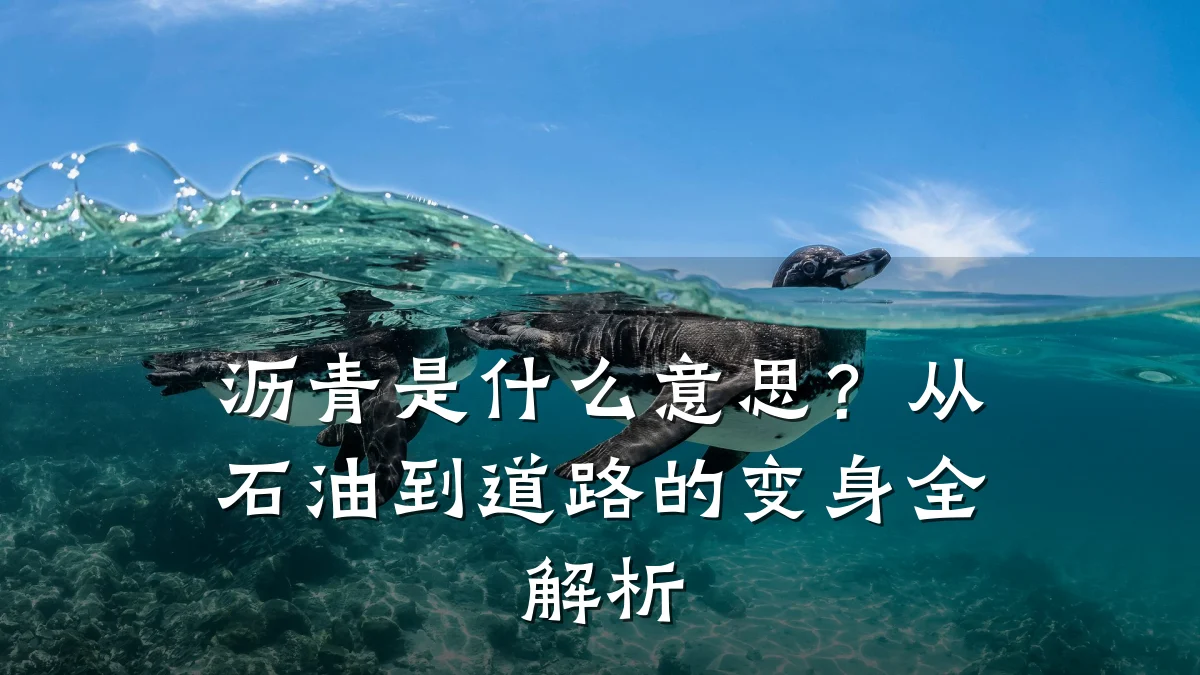 沥青是什么意思?从石油到道路的变身全解析