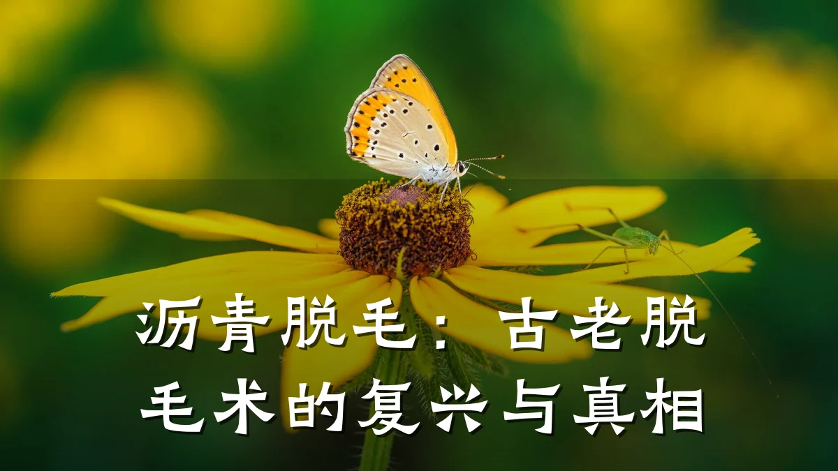 沥青脱毛:古老脱毛术的复兴与真相