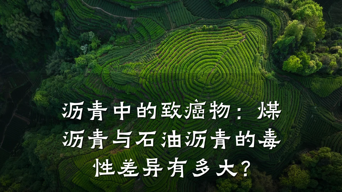 沥青中的致癌物:煤沥青与石油沥青的毒性差异有多大?