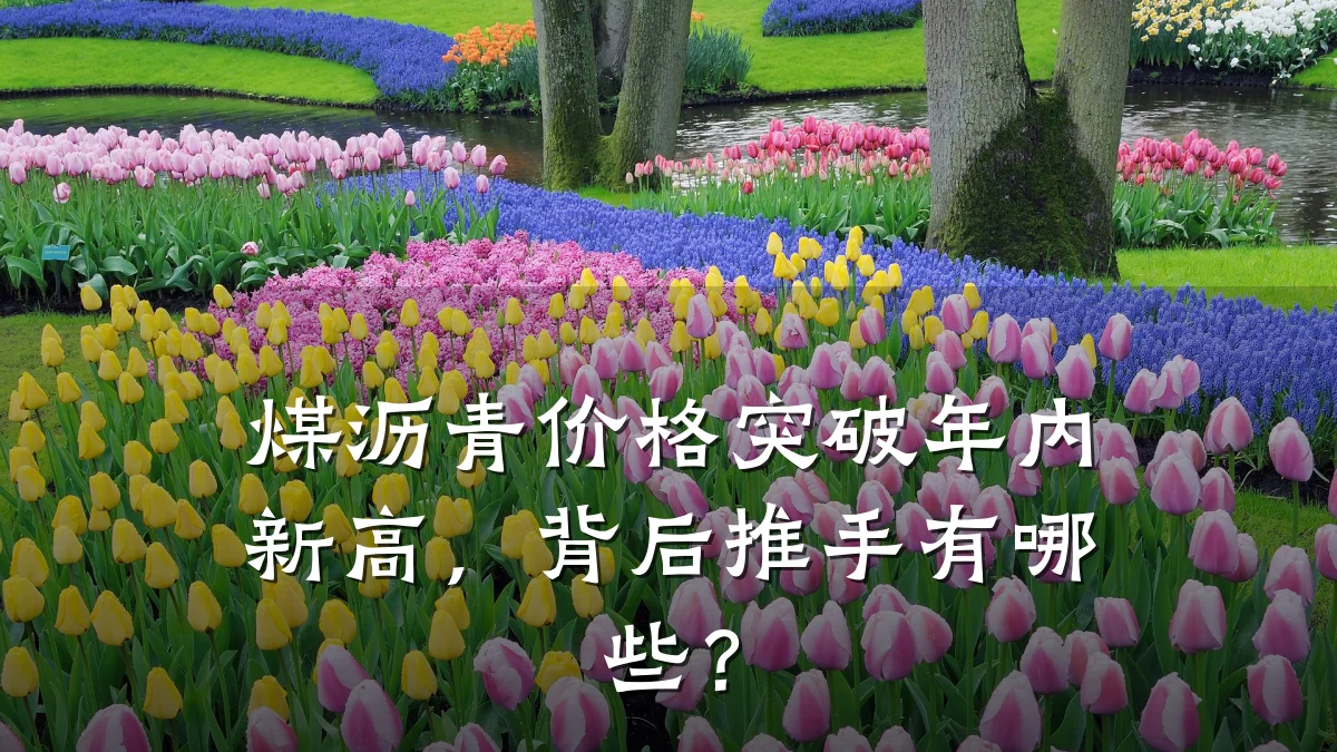 煤沥青价格突破年内新高，背后推手有哪些？