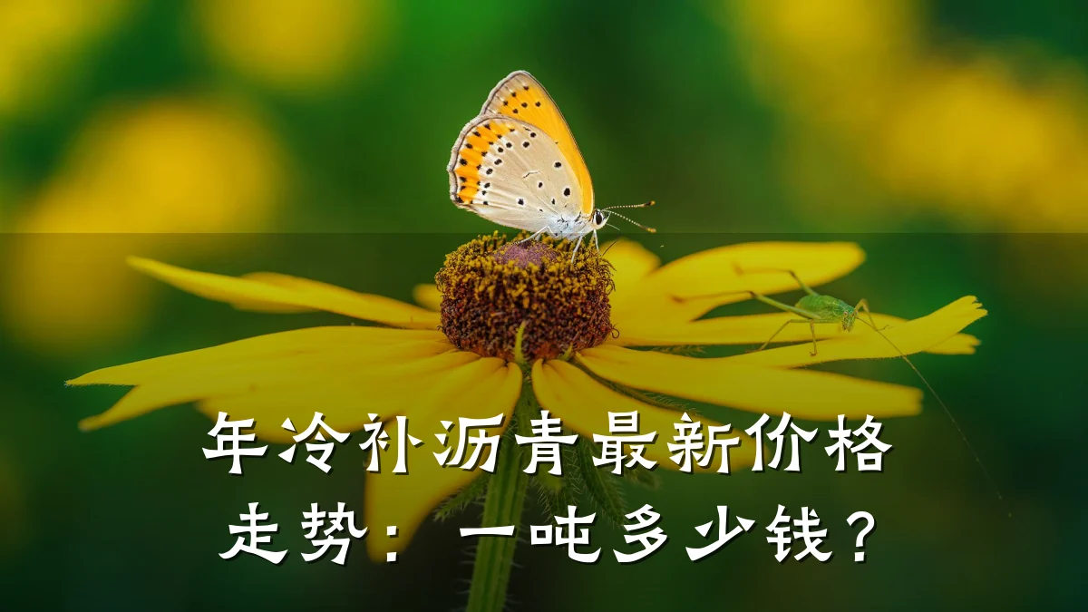 年冷补沥青最新价格走势：一吨多少钱？