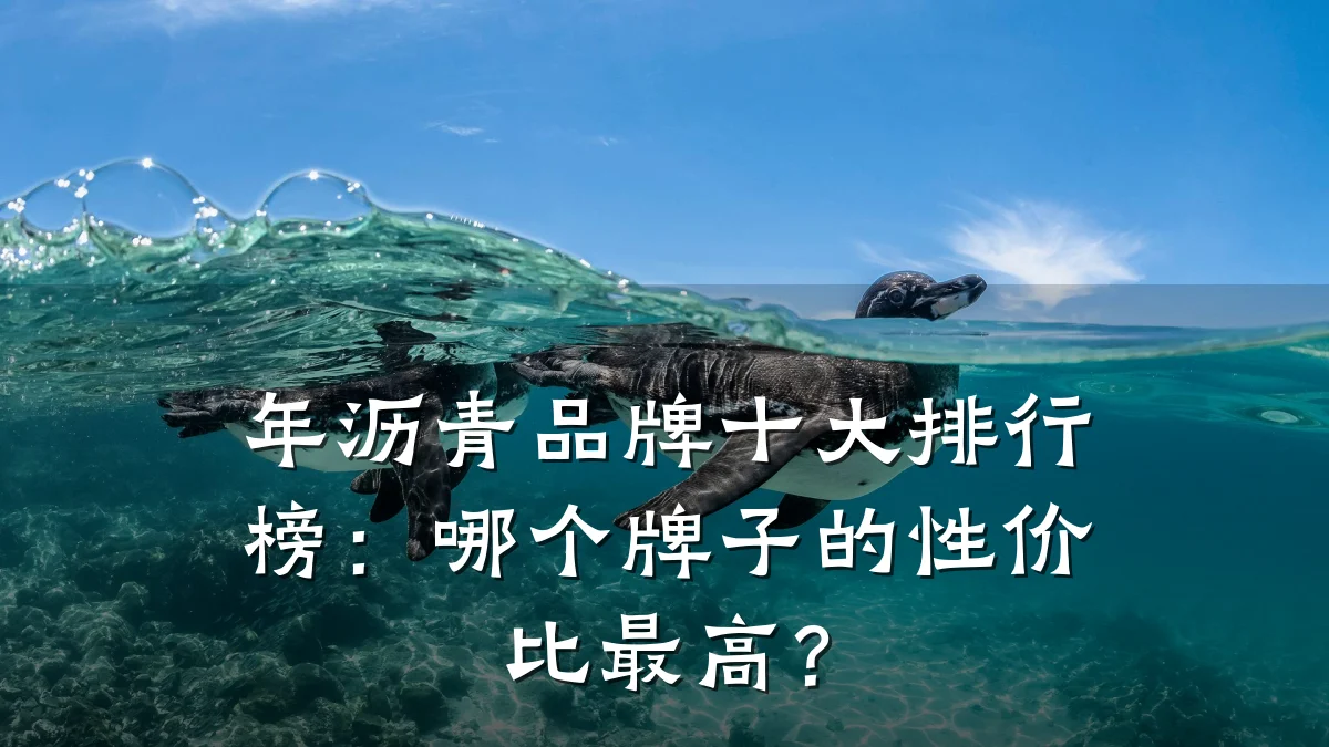 年沥青品牌十大排行榜：哪个牌子的性价比最高？