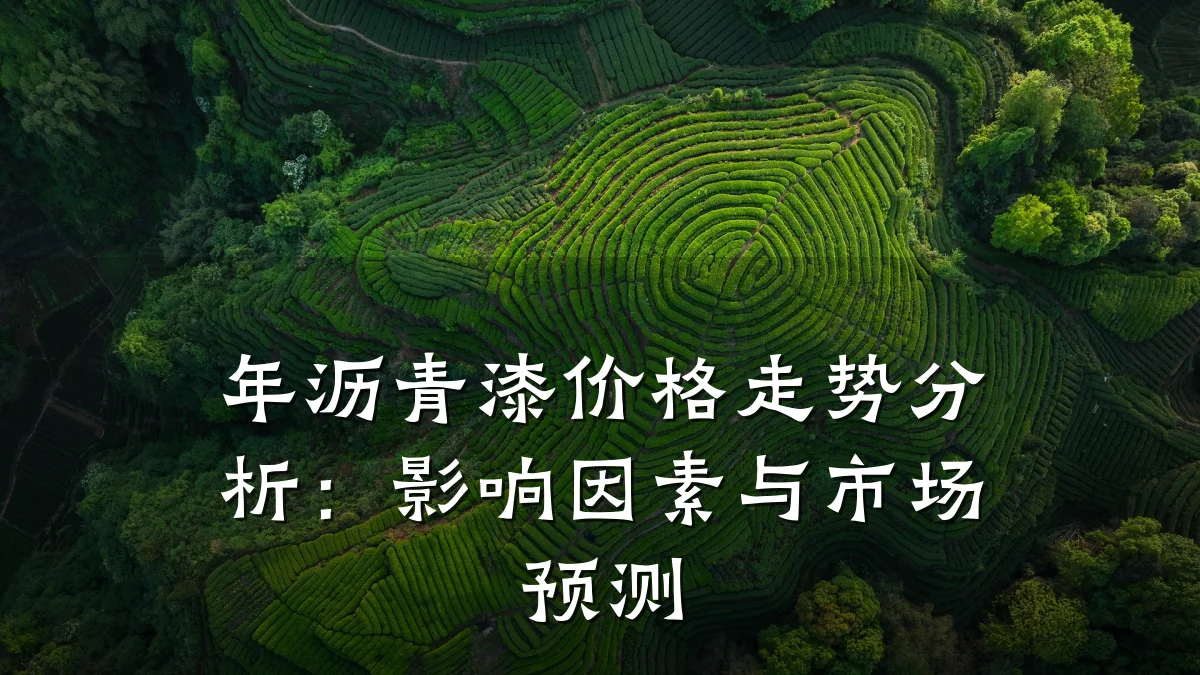年沥青漆价格走势分析：影响因素与市场预测