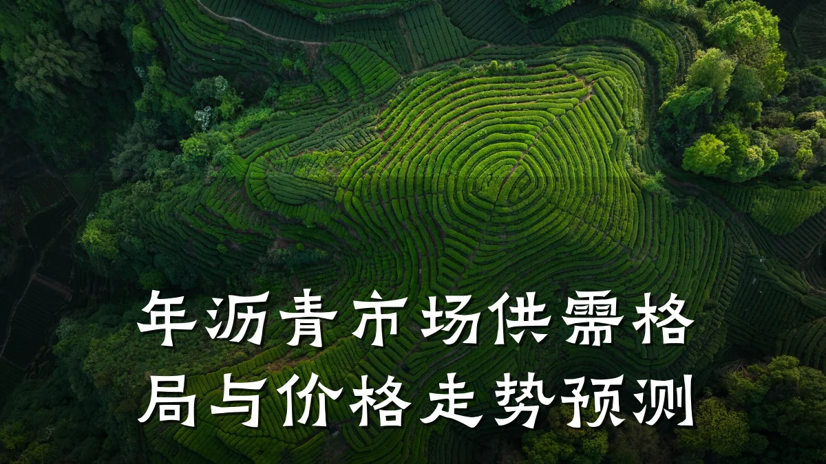 年沥青市场供需格局与价格走势预测
