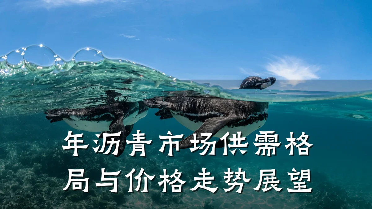 年沥青市场供需格局与价格走势展望