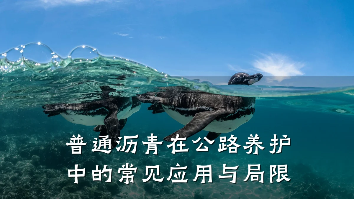 普通沥青在公路养护中的常见应用与局限